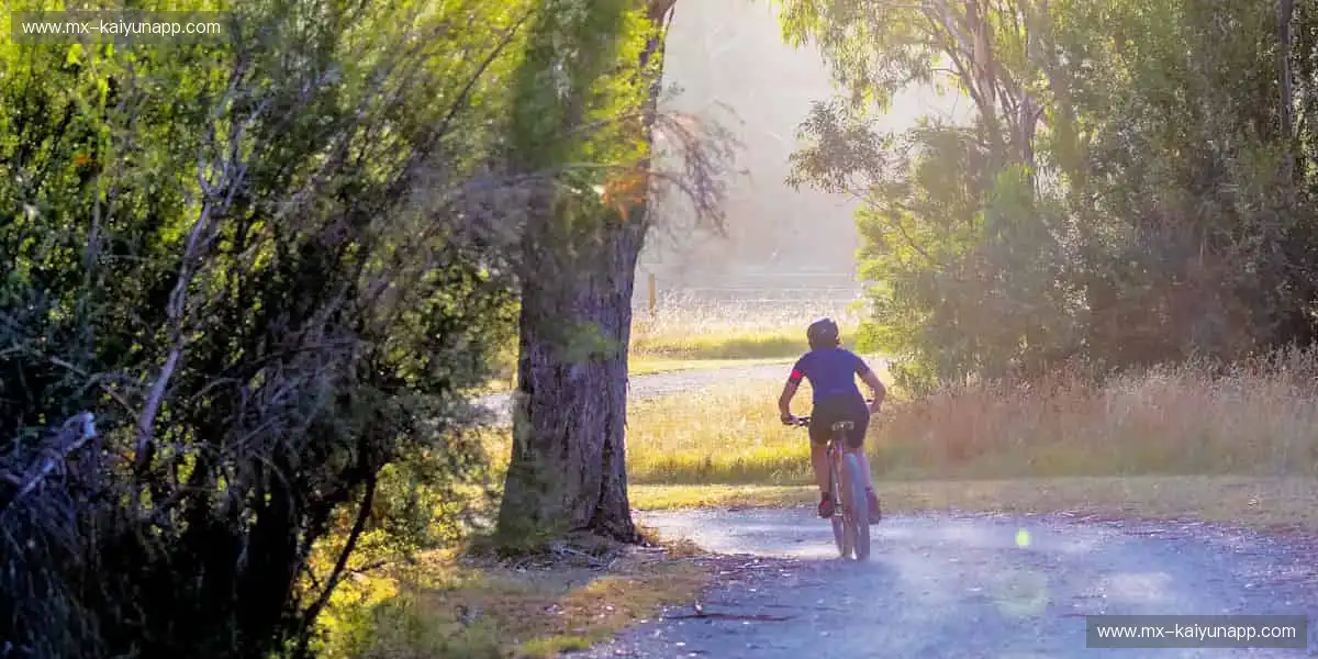 🚀与全球球迷同频，赛事官网点燃你的运动 DNA！